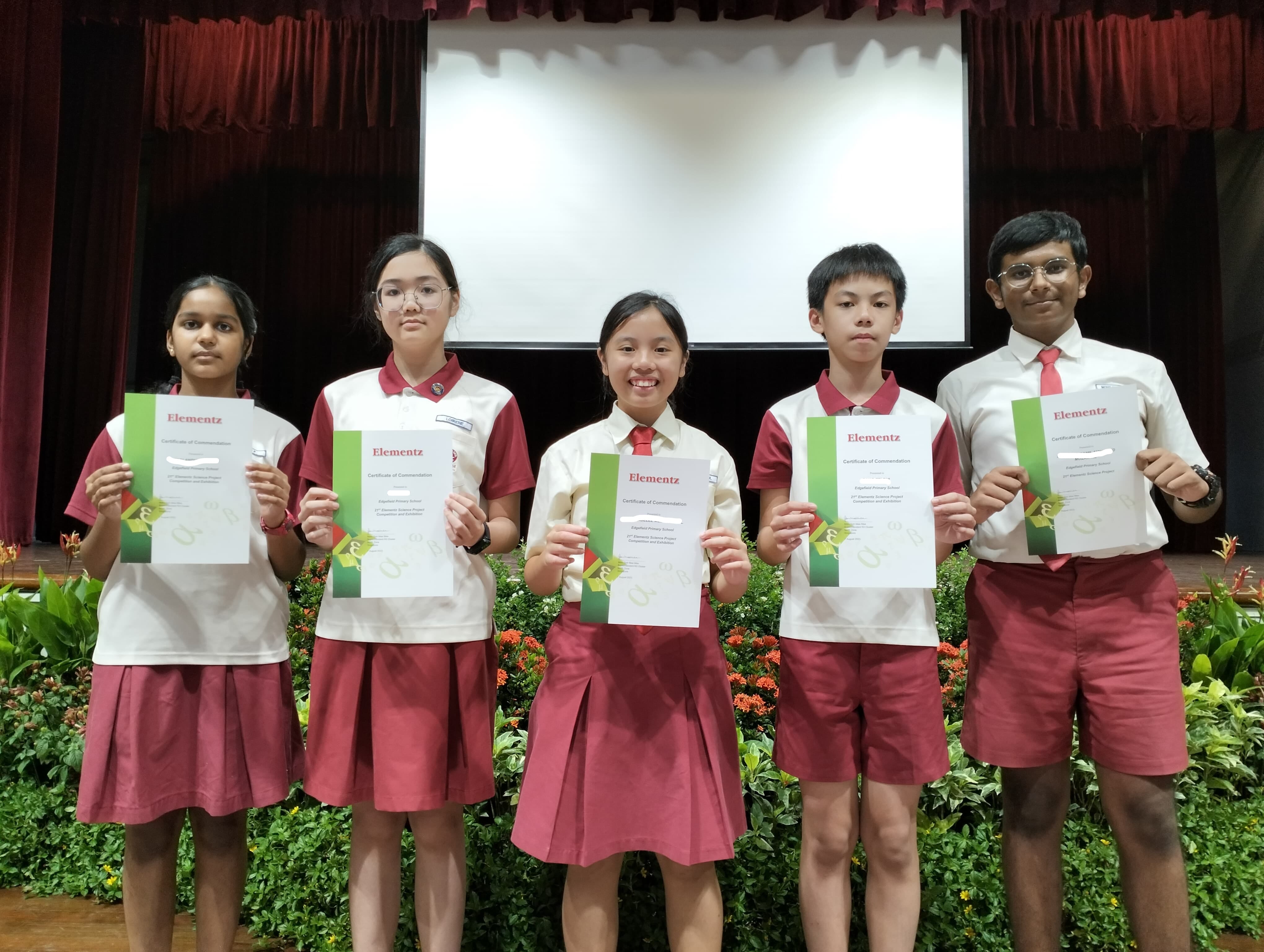 NZ Elementz Competition (Primary 6)